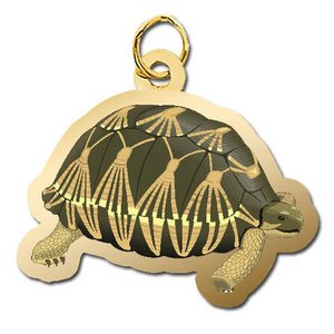 Tortoise Charm