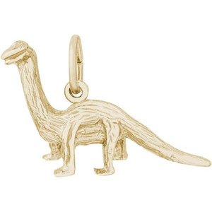 DINOSAUR