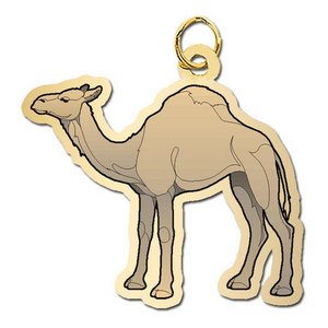 Camel Charm