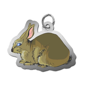 Rabbit Charm