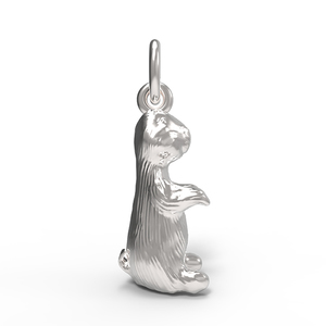 Groundhog Charm