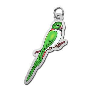Parakeet Charm