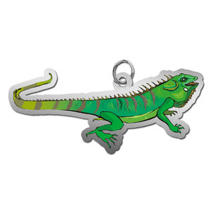 Lizard   Iguana Charm
