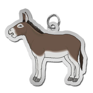 Donkey Charm