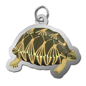 Tortoise Charm