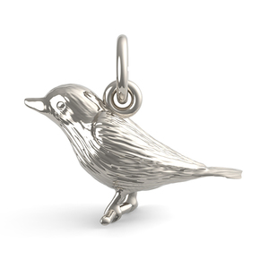 Robin Bird Charm