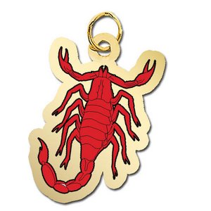 Scorpio Charm