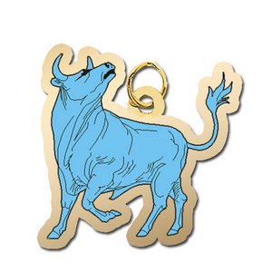 Taurus Charm