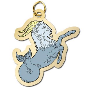 Capricorn Charm