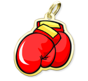 Boxing Charm