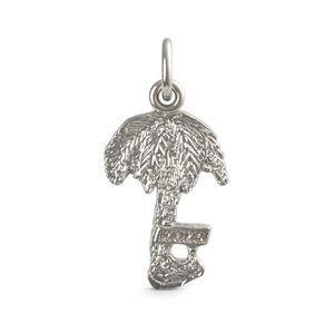 Hawaii Palm Tree Charm