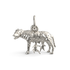 Romulus    Remus Charm