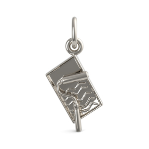 Paint Tray   Roller Charm 3926 