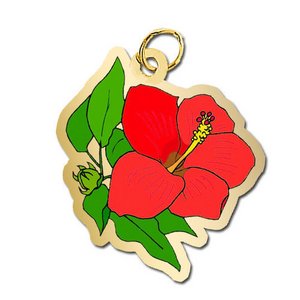 Hibiscus Charm