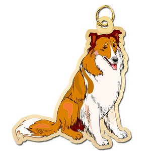 Dog   Collie Charm