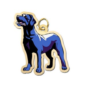 Dog    Black Labrador Retriever Charm