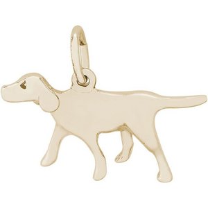 DOG RETRIEVER