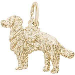 DOG GOLDEN RETRIEVER