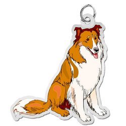 Dog   Collie Charm