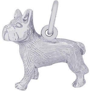 French Bulldog Charm