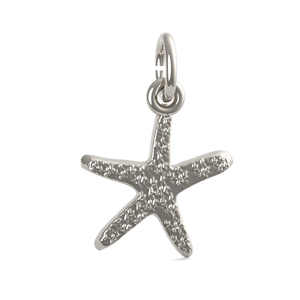 Starfish Accent Charm