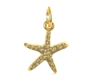 Starfish Accent Charm