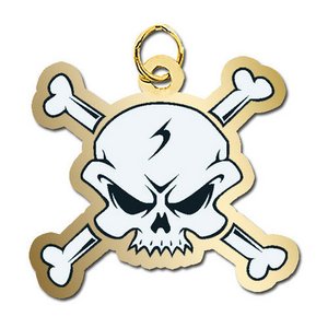 Crossbones Charm