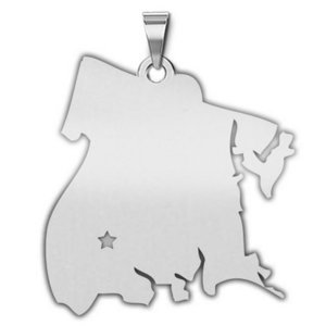 Personalized New York City   Bronx Pendant or Charm