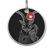 Capricorn Symbol Round Charm or Pendant w  Birthstone