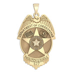 Gold Oklahoma corrections badge with a muted central field. (PG101628, secondary photo 2)