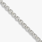 Chain photo — 2500 × 2500