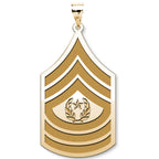 US Army National Guard  Command Sergeant Major Pendant