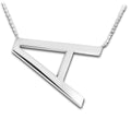 Personalized XL Initial Necklace with 18" Rolo Chain — verified PHP source 0