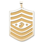 US Marine Corps Sergeant Major Of  The Marine Crops Pendant