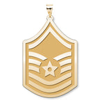 U.S AirForce National Guard  Master Sergeant Pendant