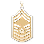 United States Air Force Senior Master Sergeant Pendant