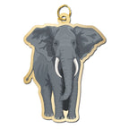 Elephant - African Charm
