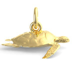 Sea Turtle