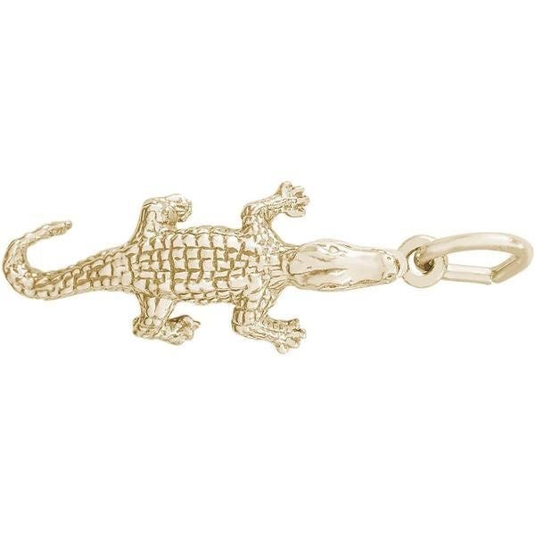 Alligator