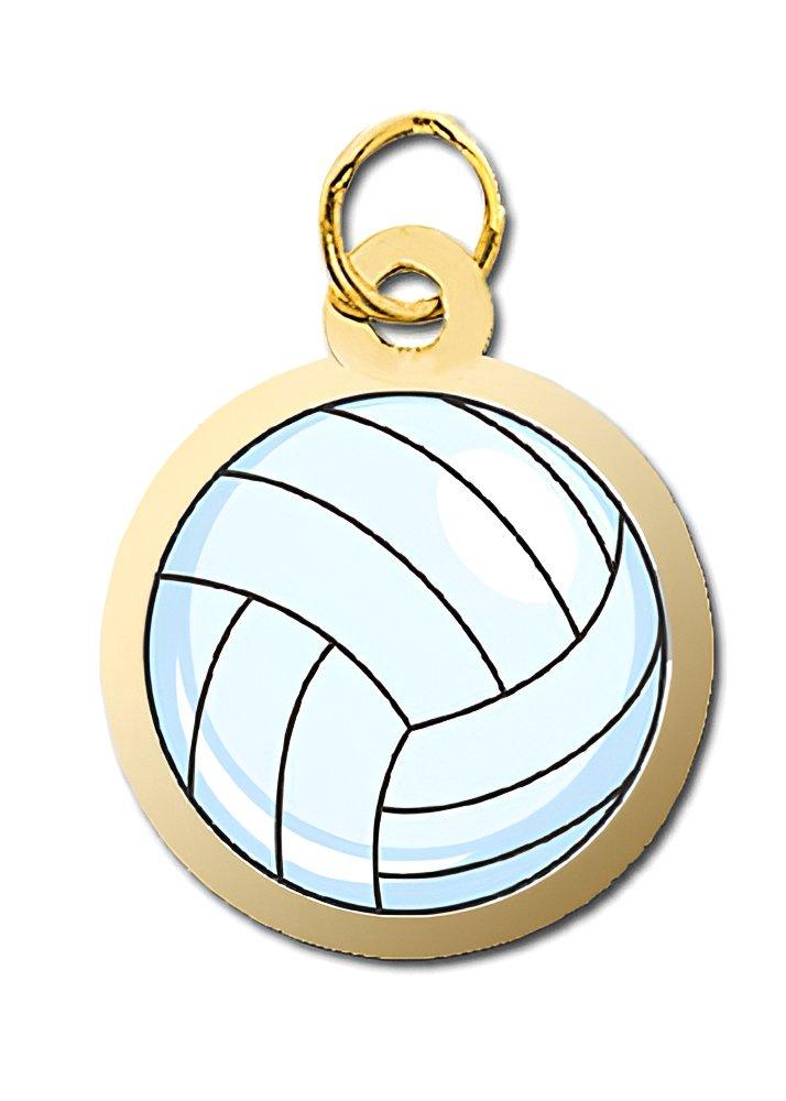 Volleyball Charm
