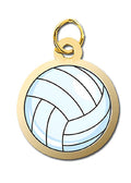 Volleyball Charm