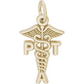 Pt Assistant