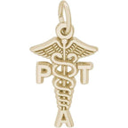 Pt Assistant