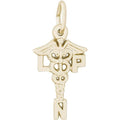 Licensed Practical Nurse