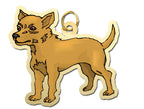 Dog - Chihuahua Charm
