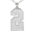 Single Number Charm or Pendant