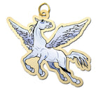 Pegasuscharm