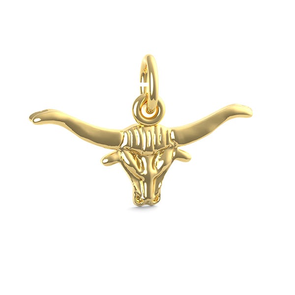 Steer Head Charm