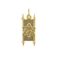 Torah Charm