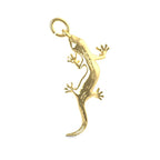 Lizard Charm